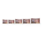 Camjoy CF0 FHD surgical monitor size family